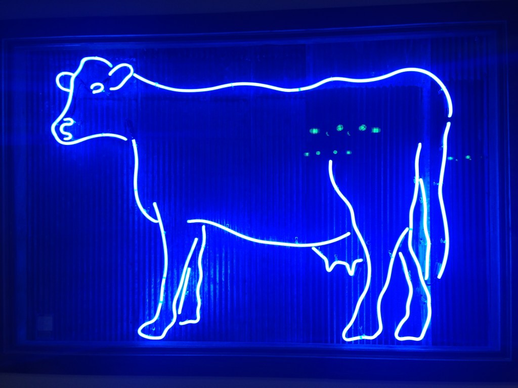 Neon Cow, Wisconsin