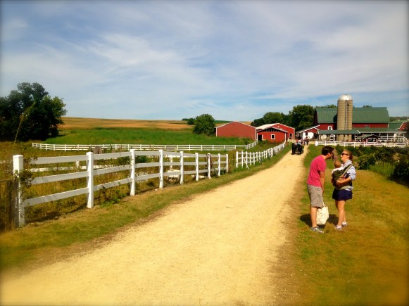 Apple picking with the Dinndorfs. They kindly invite me to all family outings.