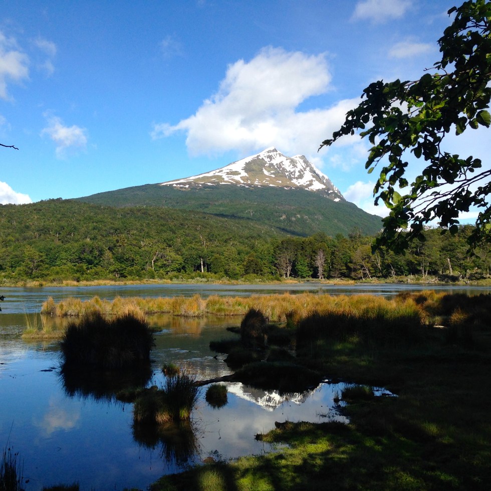 View outside my tent. Tierra del Fuego, Ushuaia