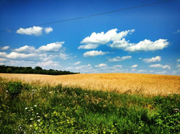 75505_10102314444656237_1450525958_n