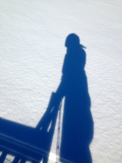 my shadow, driving a sled
