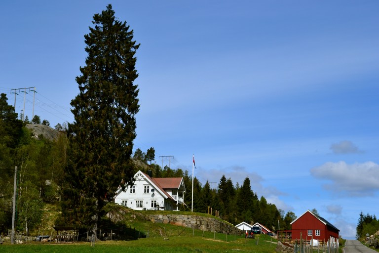 The traditional Norwegian farm where I am volunteering.