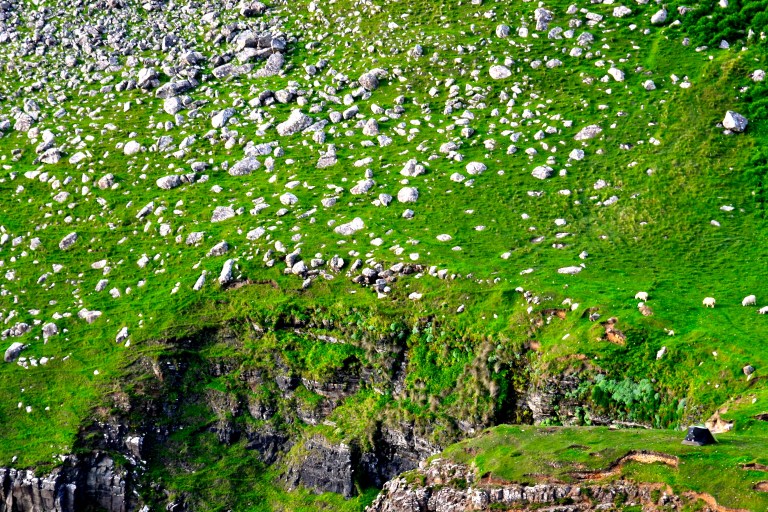 Can you find my tent?