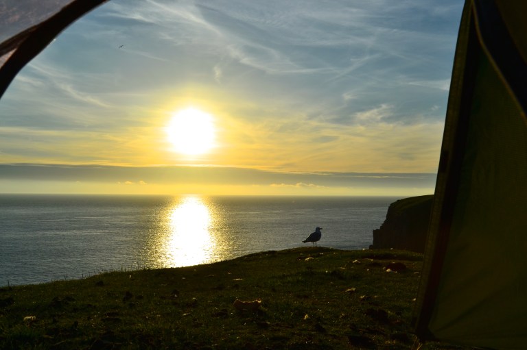 Sunset shared with a seagull