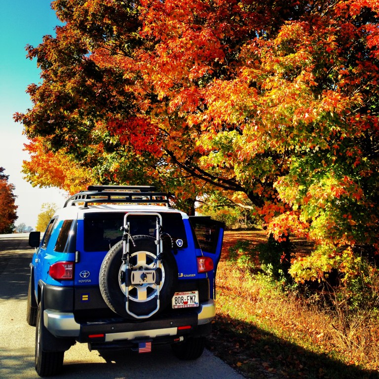 leaf-peeping in the DC, WI