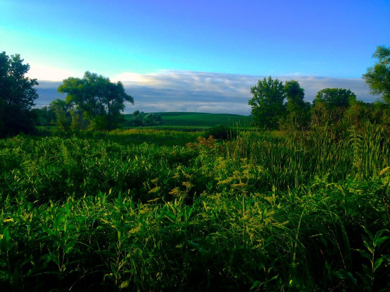 Taken July 23, 2013, one day after my first post. The world looked like a painting.