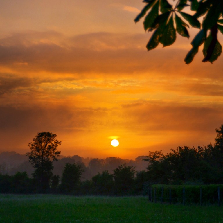 sunrise on the farm, Emly, Ireland