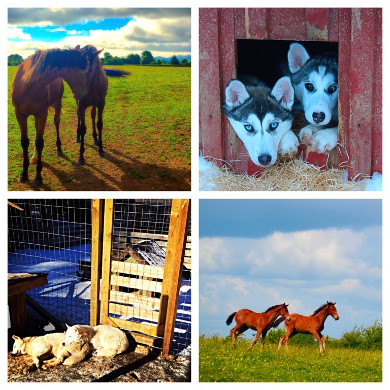 The two best friends that anyone could have.