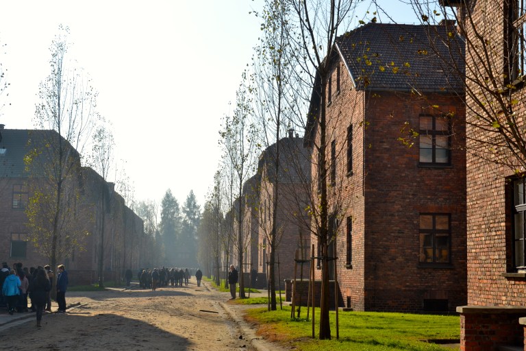 Tourist groups at Auschwitz I.