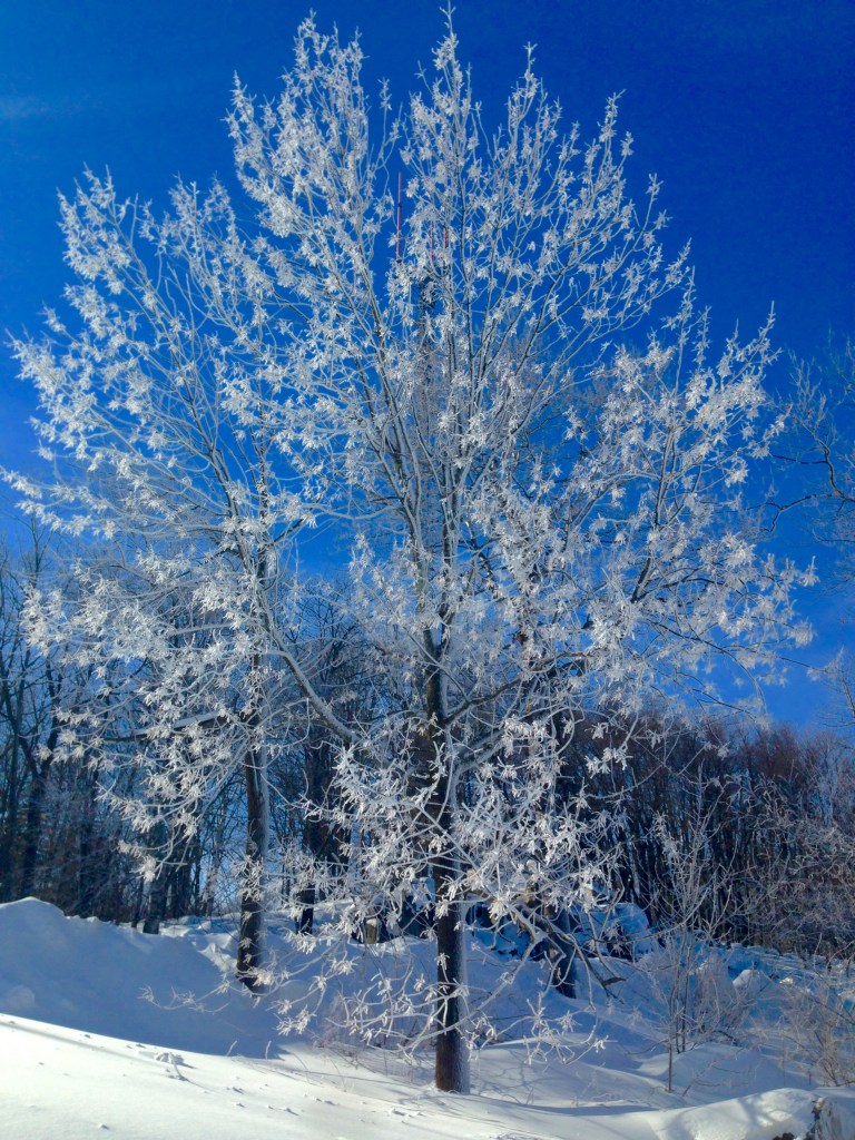 Snowboarding at Granite Peak in Rib Mountain, Wisconsin.