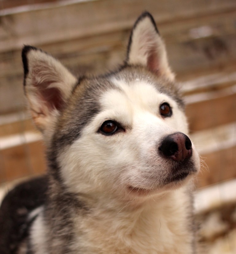 HOW CAN YOU NOT LOVE THIS FACE? Iinna, my love.