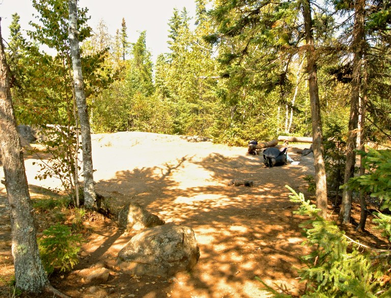 There IS a toilet, somewhere back in these woods.