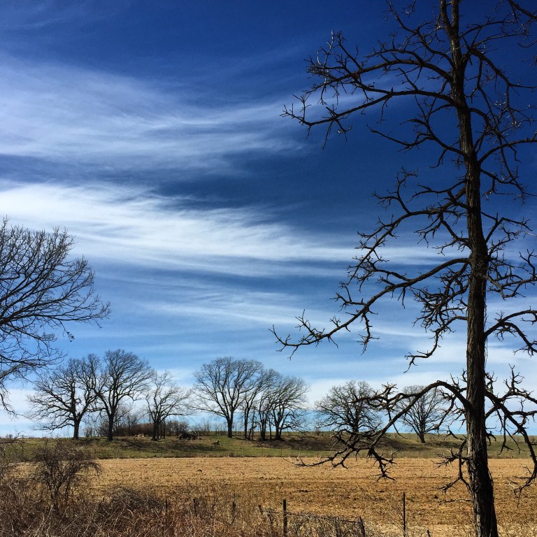 Spring on Wisconsin bike paths