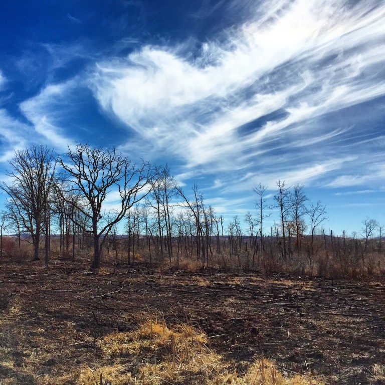 Spring on Wisconsin bike paths