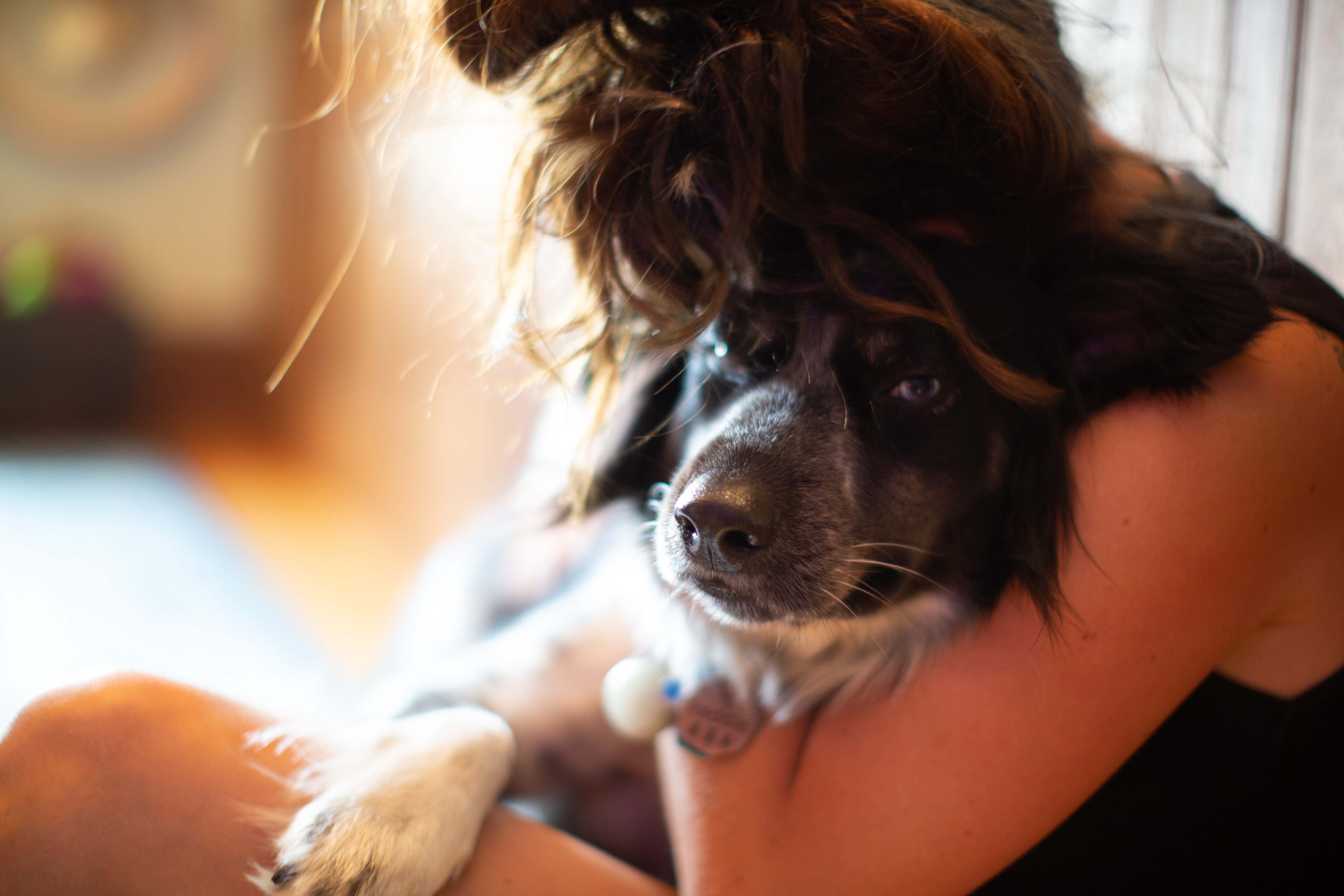 03E5E902-320A-41E5-AAF2-9F3F30BD1CC1